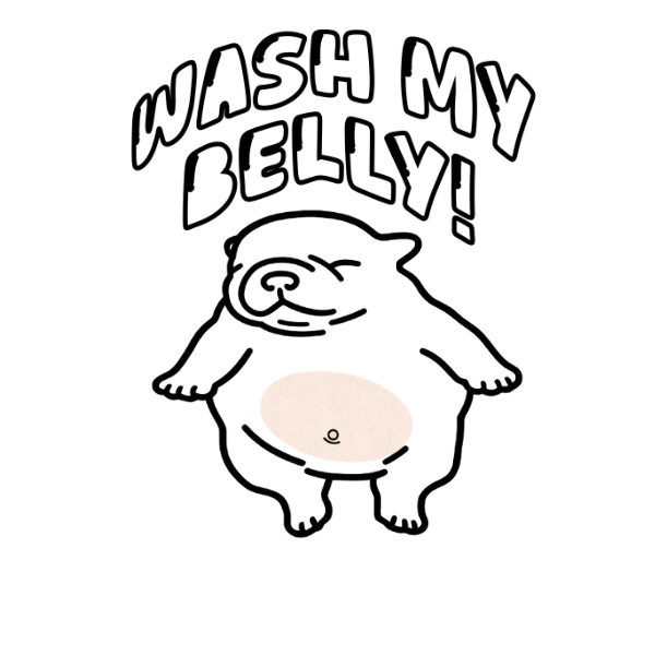 WASHMYBELLY logo